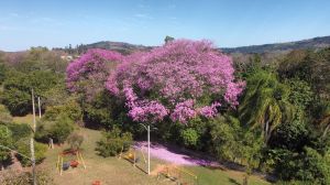 Imagens da Cidade